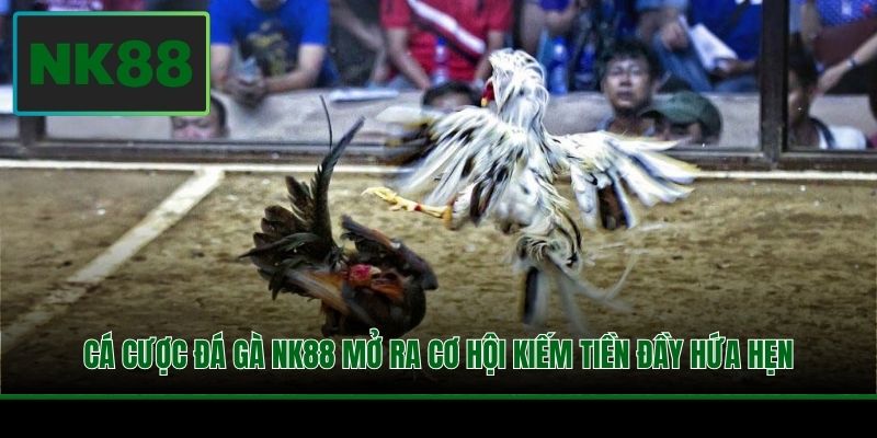 Cá cược đá gà NK88 mở ra cơ hội kiếm tiền đầy hứa hẹn
