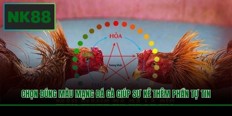 Chọn đúng màu mạng đá gà giúp sư kê thêm phần tự tin