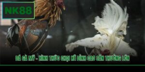 da ga my hinh thuc choi ke dinh cao san thuong lon