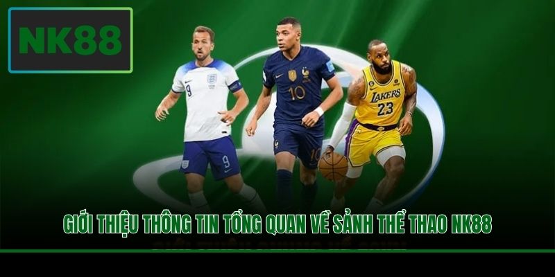 Giới thiệu thông tin tổng quan về sảnh thể thao NK88