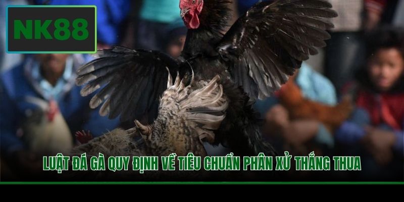 Luật đá gà quy định về tiêu chuẩn phân xử thắng thua