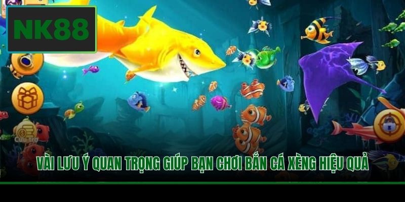 Vài lưu ý quan trọng giúp bạn chơi Bắn Cá Xèng hiệu quả
